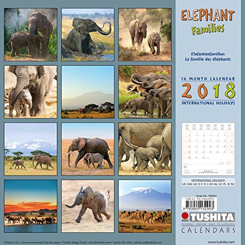 Elephant Families 2018: Kalender 2018 (Wonderful World)