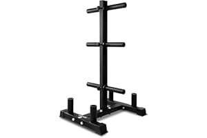 SereneLife Porta Dischi Palestra, Rastrelliera Pesi Capacità di 362,87 kg, Telaio Resistente ai Graffi, Finitura in Polvere, Facile da Montare, Compatto e Salvaspazio