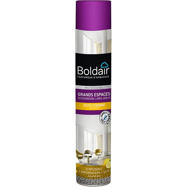 4 Sacs Charbon Bambou Actif - Purificateur Air Naturel | Contre Odeurs, Humidité | Maison, Voiture, Placard