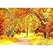 Produktbild Vlies Fototapete PREMIUM PLUS Wand Foto Tapete Wand Bild Vliestapete - AUTUMN LEAVES - Natur Herbstblätter Wald Bäume Baum Forest Herbst - no. 079, Größe:200x140cm Vlies