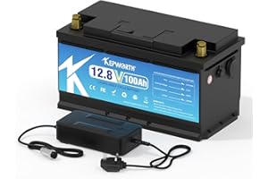 FLLYROWER 12V 100Ah LifePo4 Battery Deep Cycles with Perfect 100A BMS Lithium Iron Phosphate Battery for Trolling Motor Solar Panels RV Boat Golf Cart Off Grid Applications Household Appliances Include Charger