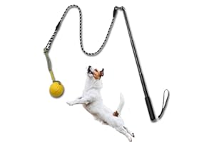 TEKCAM Reizangel Hunde，Ausziehbare Robuste Flirt Pole mit Interaktives Denkspiele Hund Ball Tug Hundespielzeug,Outdoor Haustier Kauen Spielzeug füR Kleine Mittlere GroßE Hundetraining