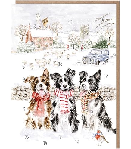 Calendrier De L'Avent Border Collie 2025, Coffret Cadeau