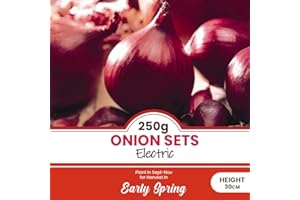 schone Onion Sets Electric – 250 Grams – Over Wintering Autumn Planting Onion - Great Addition to Your Salads – Sweet Flavour – for Your Beautiful Vegetable Garden, Red