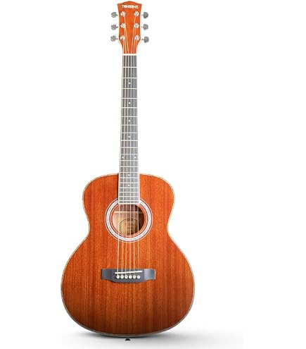 Washburn WD10 Dreadnought Acoustic Guitar, Natural, black (WD-10S