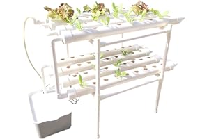 OBLLER RANZIX Kit de Cultivo hidropónico, 2 Capa 72 Plantas, Sistemas de Cultivo de Plantas sin Tierra, y Jardines acuáticos Profundos de Flujo para el Sistema hidropónico Educativo (72 Plantas)