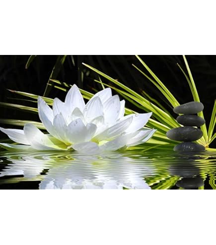 LZIMU Toile Murale – Impressions Sur Toile De Fleur De Lotus En Fleur De Nénuphar Zen – Œuvre D'art Pour Salle De Bain, Yoga, Spa (image 2, 30,5 X 45,7 Cm