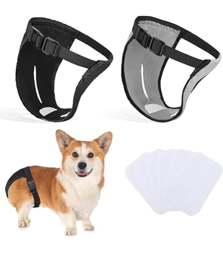 2-pack hondenbroeken, hondenluiers met 6 maandverband, verstelbare beschermende broek voor loopse vrouwelijke honden, maandelijks bloeden (2XL