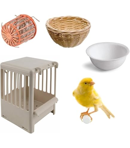 Nido Per Uccelli Esterno In Plastica - Con Spioncino Per Cocorite E Esotici