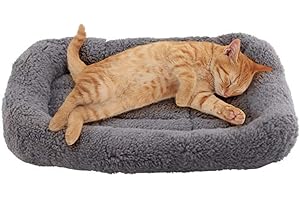Enjoying Cat Bed Square 38 x 26 cm, Warm Cat Sleeping Place for Small Dogs Cats Rabbits, Soft Cat Mat with Pillow, Cat Cushion for Cage Transport Box, Non-Slip, Washable