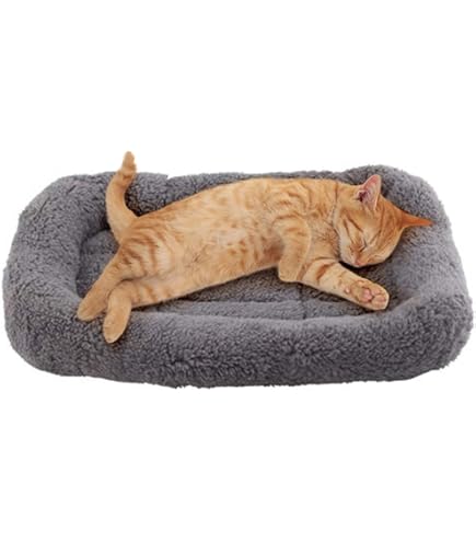 Recensione Cuccia Per Cani E Gatti In Peluche - Foto 8