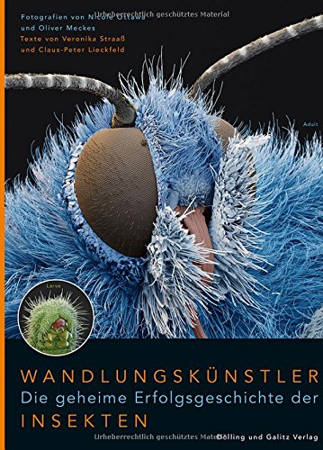 Preisvergleich Produktbild Wandlungskünstler. Die geheime Erfolgsgeschichte der Insekten.