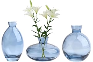 KMERCE Vaso di fiori in vetro, vaso decorativo trasparente, decorazione da tavolo, matrimonio, champagne, boheme, battesimo, compleanno, regalo per la festa della mamma (blu, 2)