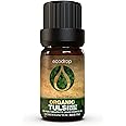 Ecodrop Holy Basil Essential Oil - 5ml | 100% Pure, Natural & Organic Therapeutic Grade Tulsi Ocimum Sanctum Oil | Mind & Body Aromatherapy Diffuser & Bath Oil for Stress, Meditation, Skin & Wounds