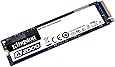 Kingston A2000 (SA2000M8/500G) NVMe PCIe SSD 500G, 500 GB