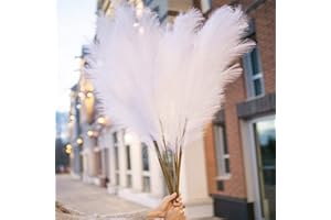 QIANYUN 5 Piezas de Hierba de Pampa Artificial 39 en 100 cm Ramo de Bricolaje florero año Nuevo Vacaciones Boda Fiesta decoración del hogar Planta simulación Flor caña (Blanco)