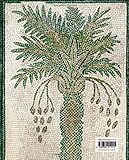 Image de Age of Transition: Byzantine Culture in the Islamic World