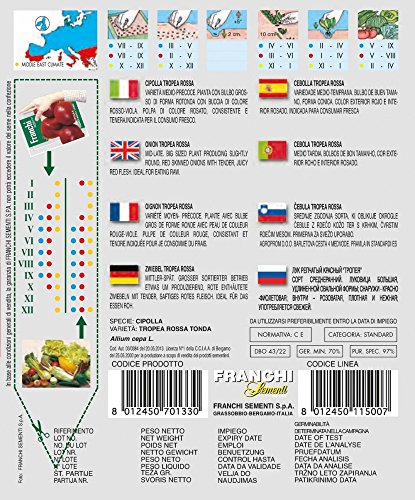 Zwiebelsamen – Zwiebel Tropea Rossa Tonda von Franchi Sementi - 2