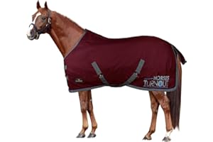 Horses, Coperta da Paddock per Cavallo Turnout 200 gr, Impermeabile, Imbottita, Resistente, con Cinghie ad Incrocio, Bordeaux 135 cm