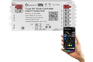 GLEDOPTO Tuya SPI Pixel Controller RGBCCT RGBW RGB WiFi LED Controller Dynamic Light Music Sync Fonctionne avec Smart Life Google Assistant Alexa Yandex (206W-WiFi SPI)