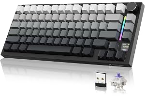 X820 (Luna, Interruptor Regalo)