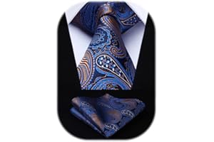 HISDERN Męski krawat paisley chusteczka ślubna krawat i poszetka zestaw