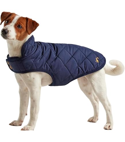Manteau Imperméable Doublé Polaire Pour Chien - Cordura Résistant, Coupe-vent Et Réfléchissant - Taille L Orange - 13