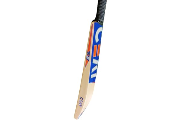Willow Maste Raider Hitman English Willow Cricket Bat for 12-14 Yrs (1 kg)
