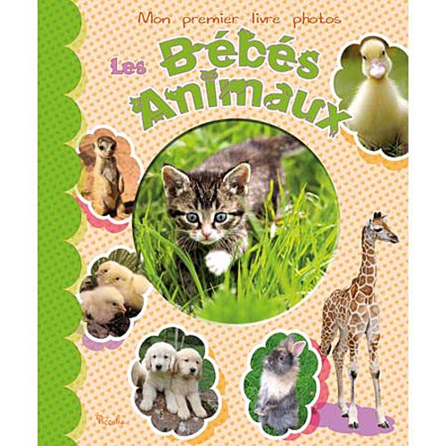 couverture de : Les b&eacute;b&eacute;s animaux