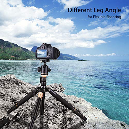 Precio Más Barato Andoer Q666 Trípode Completo Trípode Reflex Portátil
156cm para DSLR Cámara Canon Sony Nikon, Trípode 2-en-1 Monopod
Photocamera Aleación de Aluminio con Cabeza de 360° Bola, Bolsa de
Transporte en Amazon