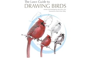 The Laws Guide to Drawing Birds