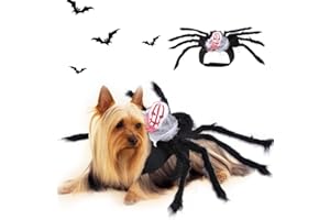 IRIS SPRITE Halloween-Kostüm, Dekoration für Welpen, Katzen, Hunde, Fledermausflügel (großes Spinnen-Kostüm für Gesichts- und mittelgroße Hunde)