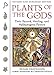 Plants of the Gods: Their Sacred, Healing, and Hallucinogenic Powers by 