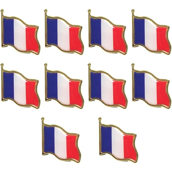 Pin's Drapeaux Jumelage France-Roumanie - En Acier | Neuf Avec étiquettes