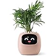 PLANTSIO Smart pet Planter Robot Guidance on Plant Care with Emojis, Adorable Plant Companion with Rich Gesture Interaction, Neat Desk Setup Gift (Rose)