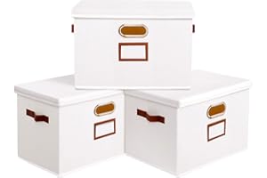 OUTBROS Lot de 3 Boîte de Rangement, Paniers de rangement Pliables avec Couvercle et Poignées, Caisses de rangement en Tissu Lavable, pour Vêtement, Magazine pour Maison (Blanc, 45x30x30cm)