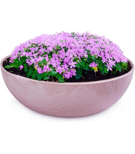 Petits pots de fleurs décoratifs pour 13 cm (5 pcs) Petit pot de fleurs Petits pots de fleurs décoratifs pour 13 cm (5 pcs) Petit pot de fleurs