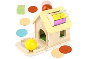 Joyreal Tamburo Rotante Montessori - 5 in 1 Giochi Legno Bambini 1 Anno, Gioco Montessori Bambino, Giochi Bimba 1 2 Anni, Giocattoli Selezionatore di Forme Natale Regalo per Bambina