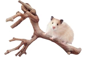 hamster grenar 15 cm roliga sysselsättningsgrenar i trä | Guldhamstrar livsrumsdekoration för hamstrar, chinchillor, igelkott