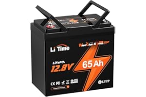 LiTime Batería Lifepo4 12V 65Ah, Grupo 22NF, Protección Baja Temperatura, Máxima 832Wh, 15000+ Ciclos, Batería Litio para Barcos pequeños, Detector Peces, Acampada