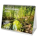 Waldzauber DIN A5 Tischkalender 2020 Wald - Seelenzauber by