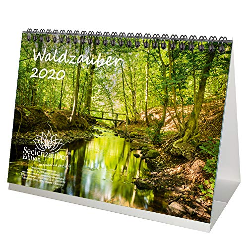 Waldzauber DIN A5 Tischkalender 2020 Wald - Seelenzauber