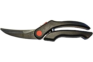 Zwilling 42932-001 - Tijeras para aves de corral (inoxidable, 255 mm)