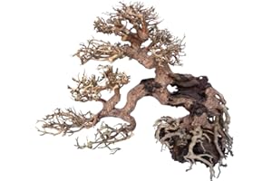 Amtra - Oriental Wind 7 Bois, Fait Main, pour Aquarium, 30 x 13 x 23 cm