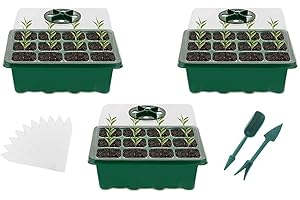 RIGUTE Mini Serre pour Plantes,3 Pièces 36 Cellules Intérieure Plateau Semis,Plateaux de Culture avec Couvercle, Bac à semis Pépinière Boîte de Culture Durables pour La Germination des Graines