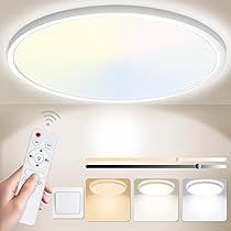 12 Inch Flush Mount LED Ceiling Light Fixture, 3000K/4500K/6500K Selectable Ceiling Lights, Ultra Thin Round Black Ceiling Lamp For Living Room, Bedroom, Kitchen, Bathroom, Hallway, Non-dimmable