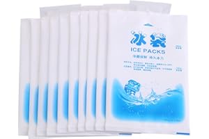 FTVOGUE 10pcs Reusable Ice Packs Gel Cooling Bags for Kids School Lunch Boxes Camping Picnic Coolers (200ml)