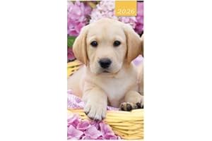 CARDS GALORE ONLINE 2026 Slim Pocket 2 Week To View Softback Dog Diary - Labrador Puppy