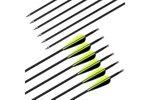 Deweey 12pcs Hunting Arrows 30 inch archery carbon arrows with 3" Feathers Targeting Arrows with Replacement Screw-In Broadheads Archery Arrows for Recurve Bow Longbow and Traditional Bow
