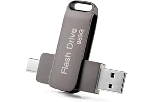 XIANGYA Clé USB 985 Go,2 en 1 Type C 3.0 Pen Drive，Métal Cle USB 3.0 Haute Vitesse Clef USB 985 Go Mémoire Stick Portable Pen Drive Flash Drive avec Porte-clés pour PC, Tablette